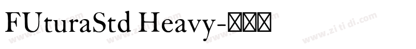FUturaStd Heavy字体转换